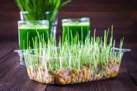 Cleanse And Energize Your Body With A Spring Detox Spring Detox Detox Benefits Healthy Liver