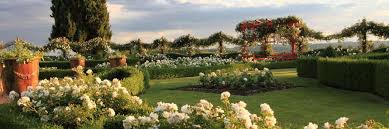 Ifs, buis, charmes et cyprès sont les essences principales du jardin. Eyrignac Et Ses Jardins The Great Sites Of Perigord