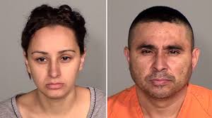 Minn. K9 sniffs out 9 pounds of meth under flower bed