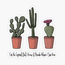 Trekking poles help on the climb, and i think they're good in this guide covers the most popular routing on cactus to clouds, using the museum and skyline hopefully you read the article about deaths on cactus to clouds and fully understand that you can. Pin On Basic Beach Tees Apparel And Accessories