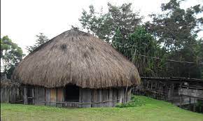 Mereka adalah masyarakat suku korowai. 50 Gambar Rumah Adat Papua Barat Dan Penjelasannya Terlengkap Koleksi Gambar Rumah Terlengkap