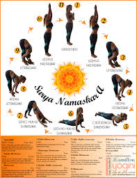Surya Namaskar A Sun Salutation A Yoga Sun Salutation Ashtanga Vinyasa Yoga Yoga Asanas