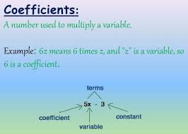 Total 3 Average 5 5 You Ve Already Voted This Article With 5 0 Factors And Coefficients Of A Polynomial Fac Polynomials Like Terms Algebraic Expressions
