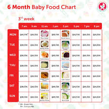6 Months Food Chart For Indian Babies Baby Food Chart Baby Food Recipes 6 Month Baby Food