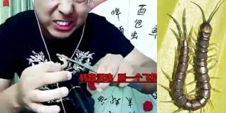 Provided to youtube by onerpmgato morto · selvagens · leonardo selvagem · leandro selvagempunkixe℗ selvagensreleased on: Youtuber Mangia Insetti Velenosi Nella Sfida Social Ma Muore In Diretta