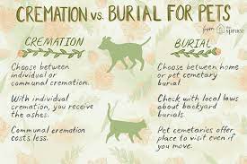 Pet cremation typically costs between $55 and $100 for small animals such as birds, rabbits and ferrets pet cremation services often have someone on call 24 hours a day, seven days a week. Options For Pet Burial And Cremation