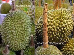 Masak buah 145 hari dari sejak muncul bunga. 5 Tips Untuk Mengenalpasti Buah Durian Musang King Rajah Kunyit Atau Mao Shan Wang Johor Kaki Travels For Food