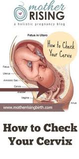 Pin On Natural Labor Birth
