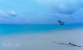 Island Felicity of Andaman – Mustard ...