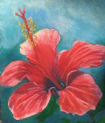 Artbymarion Joy Of Colour Red Hibiscus In Oil Pastel Oil Pastel Oil Pastel Art Oil Pastel Techniques