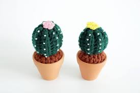How about a crochet classic cactus plant. Crochet Cactus Workshop Tickikids é¦™æ¸¯