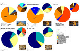 Studying Patterns Of Human Injuries And Deaths Due To