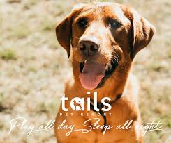 Wagging tails pet resort response. Las Vegas Pet Boarding And Grooming Tails Pet Resorts