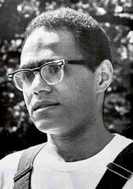 Alice Walkers Garden Home Page 2021