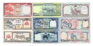 Image result for NEPALI MONEY