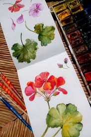 Check spelling or type a new query. Watercolor Floral Seamless Pattern With Pelargonium On Behance