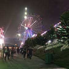 Loved by cats all over the world. Icity Ferris Wheel Theme Park