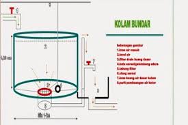 Cara Membuat Air Bioflok Persiapan Air Kolam Bioflok Cara Membuat Air Bioflok Cara Fish Pond Aquaculture