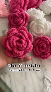 Rosa Gauna (gaunarosa22)