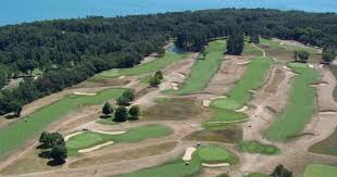 Image result for Lawsonia