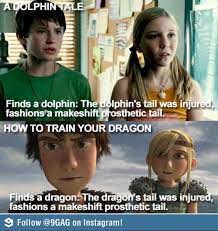 The Only Difference Is That Dolphin Tale Is An Actual Story I Saw The Dolphin Myself In Per How Train Your Dragon How To Train Your Dragon How To Train Dragon