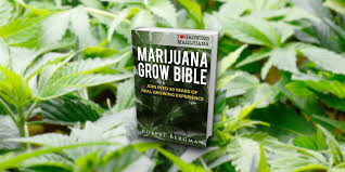 The indoor/outdoor medical grower's bible jorge cervantes is the most trusted name in marijuana cultivation explains all the essential techniques to grow indoors, outdoors and in. Growers Bible Free Download