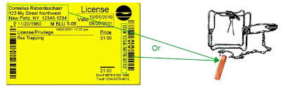 Trapping Regulations Nys Dept Of Environmental Conservation