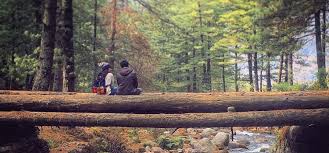 Image result for manali pics