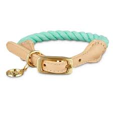 Bond Co Turquoise Buff Rope Dog Collar For Neck Sizes