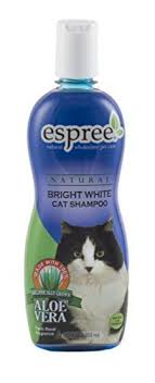 pin on cat grooming