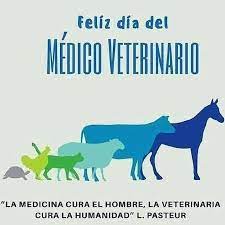 Antes de empezar a trabajar y cuidar animales, tendrás que tomar el juramento del veterinario. Onsyu8uvojrgim