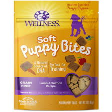 Maybe you would like to learn more about one of these? How To Stop A Puppy From Biting Your Puppy Biting Guide