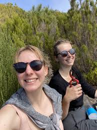 Operation Plantation