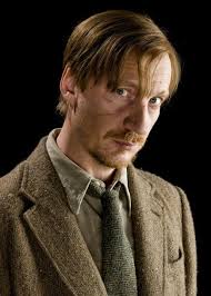 Discover 13 Remus Lupin and Hogwarts Professors Ideas
