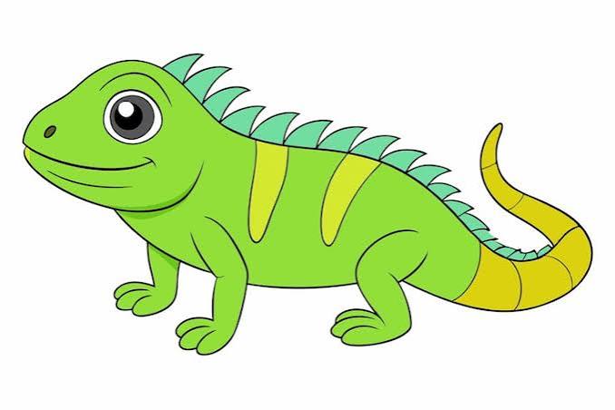 Iguana clip art Images - Free Download on Magnific (formerly Freepik)