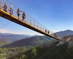 Maybe you would like to learn more about one of these? Skybridge Gatlinburg 2021 All You Need To Know Before You Go With Photos Tripadvisor