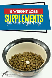 Pin On Top Dog Tips
