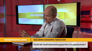 Farkli Bir Kedi Mamasina Gecerken Ne Yapilmalidir Temizmama Com