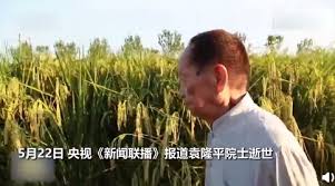 Translation of 杂交 from thecollins chinese to english. Xt0yu Mh1pvhmm