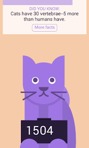 We provide aggregated results from multiple sources and sorted by user interest. Catwatch For Android Apk Download