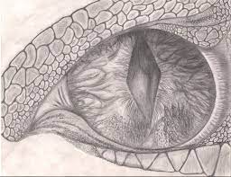 Dragon Eye S Reflection By Ellofayne On Deviantart Dragon Eye Drawing Eye Drawing Dragon Drawing
