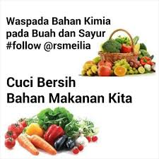 Kimia yang dicampurkan ke dalam makanan dengan tujuan untuk meningkatkan kualitas, menambahkan rasa dan memantapkan kesegaran produk tersebut. Waspada Buah Sayur Segar Dengan Bahan Kimia 1 Ketahui Dengan Jelas Sumber Bahan Makanan Anda 2 Buah Dan Sayur Kerapkali Terpapar Pestisida Dan Bahan K Tips