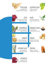 Pin On Remedies