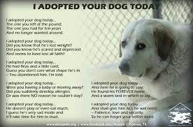 Check spelling or type a new query. Paas Arlington Tx On Twitter Rescue Quotes Dog Quotes Dogs