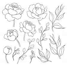 Pin On Line Drawings