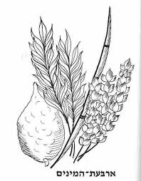 Coloring Page For Sukkot Sukkot Lulav And Etrog Simchat Torah