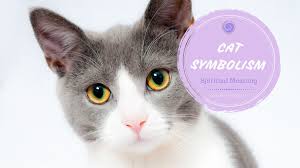 There are more than 70 cat breeds that are known to date. Spiritual Meaning Of Cats Symbols Spirit Totem Power Animal
