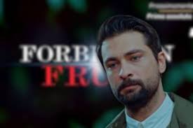 Anticipazioni Forbidden Fruit, Alihan furioso: la scoperta che gli fa  perdere la testa - ideabuilding.it