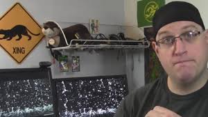 Game Developer Interviews