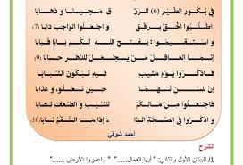شعر عن حب الوطن للشاعر احمد شوقي Shaer Blog